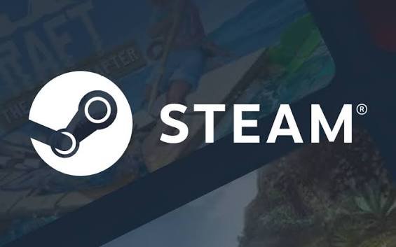 steam 100 usd